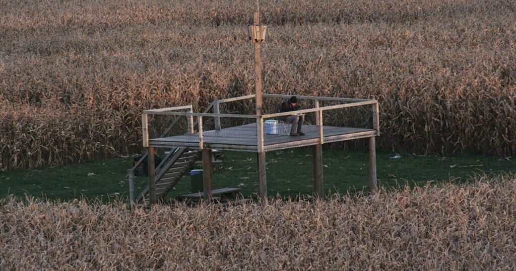 Gallery image of the project The Maizeman