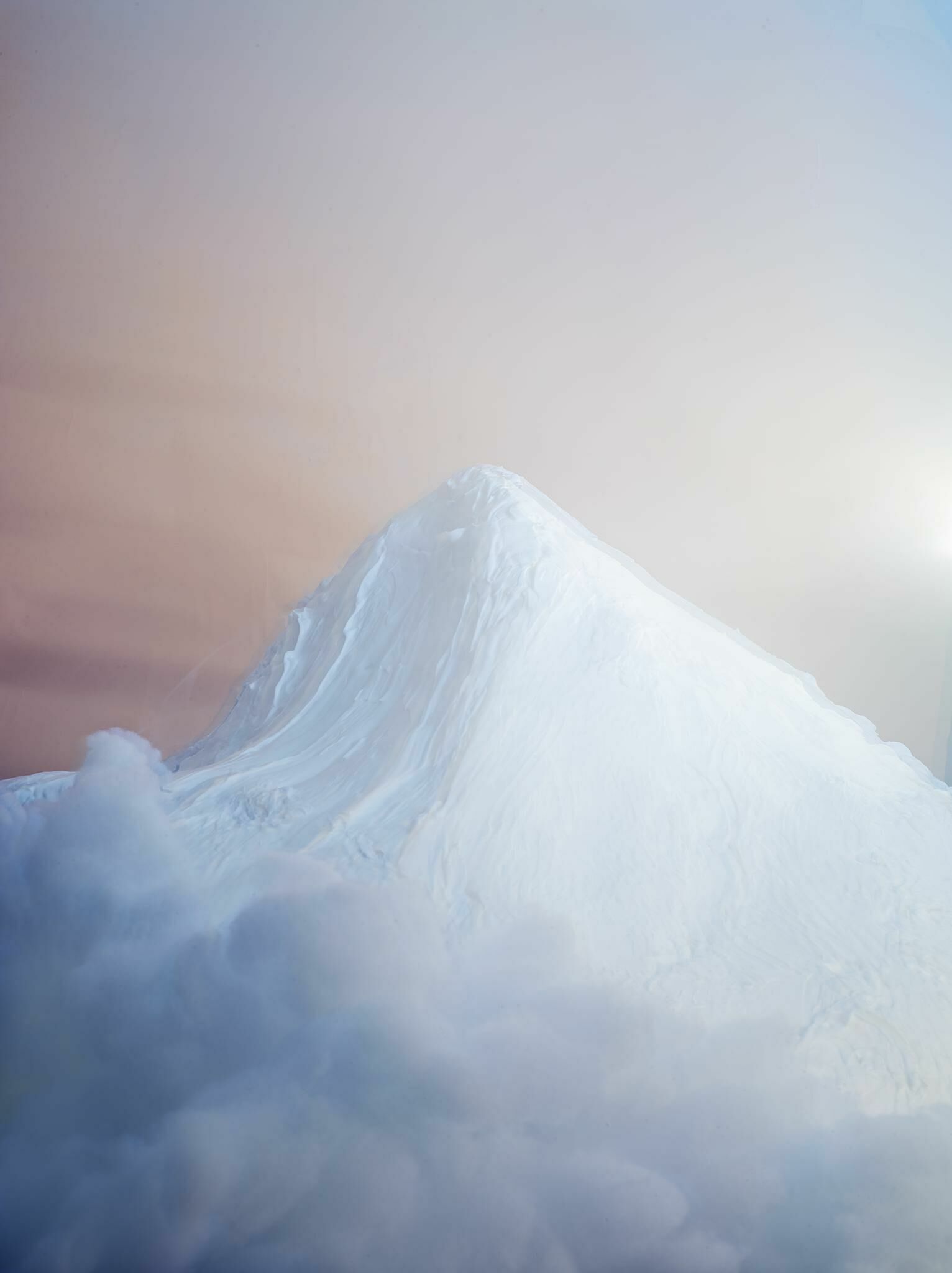 Gallery image of the project Artificial Landscapes