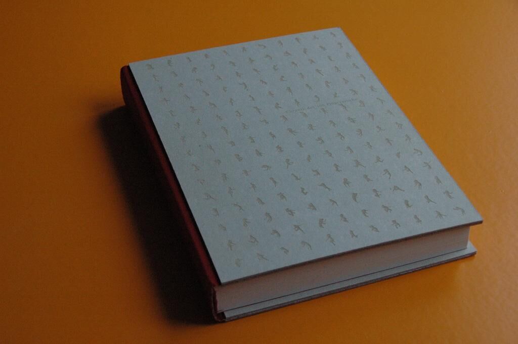 Cover image of the project Farblichtspiel