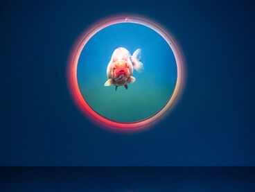 Jiha Jeon – Fixing the Rare (Diplom) Jiha Jeon – Fixing the Rare (Diplom