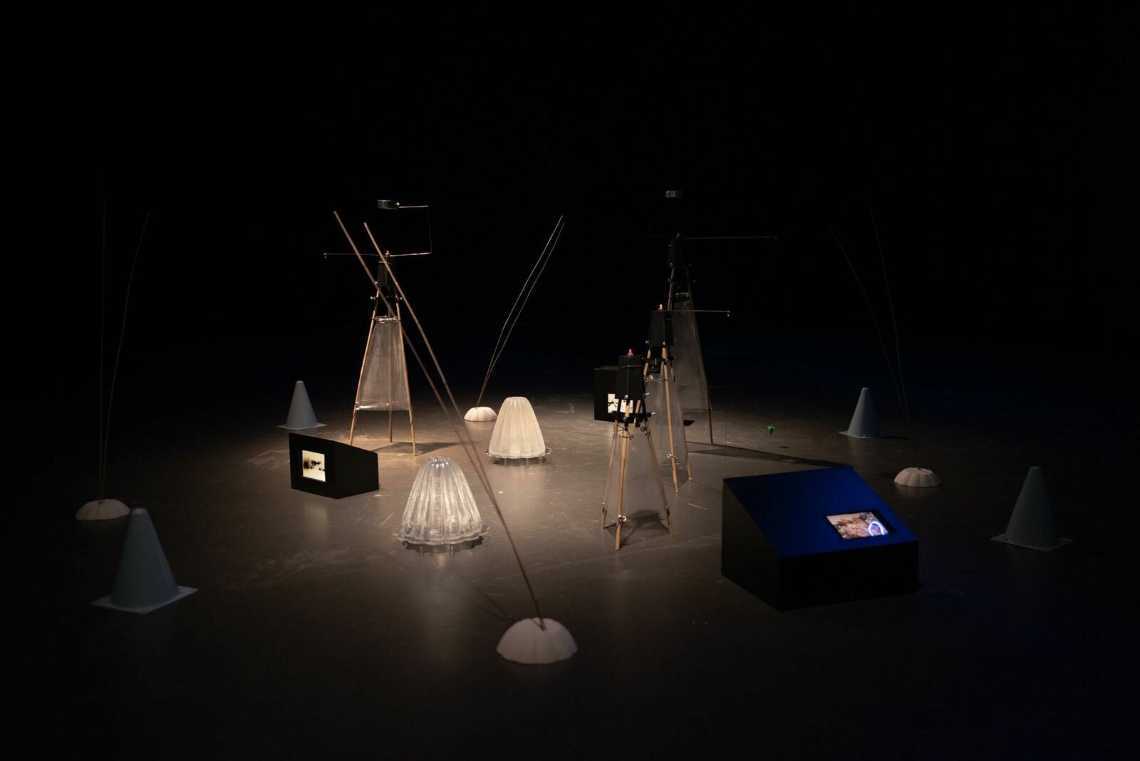 Gallery image of the project Pasajera Nocturna