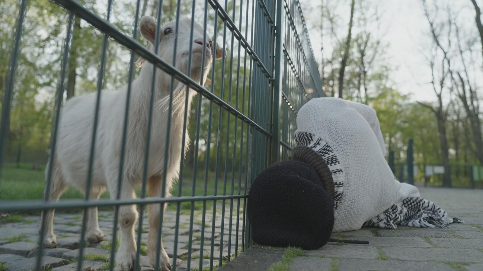 Gallery image of the project report null - Leben unter Zieg*innen