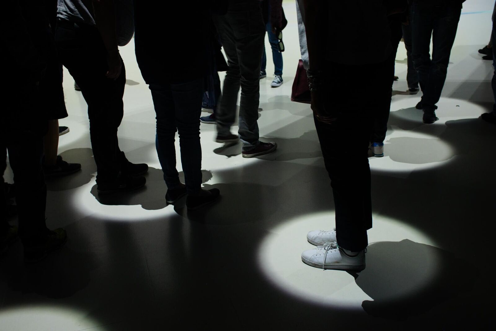 Gallery image of the project metadigma 