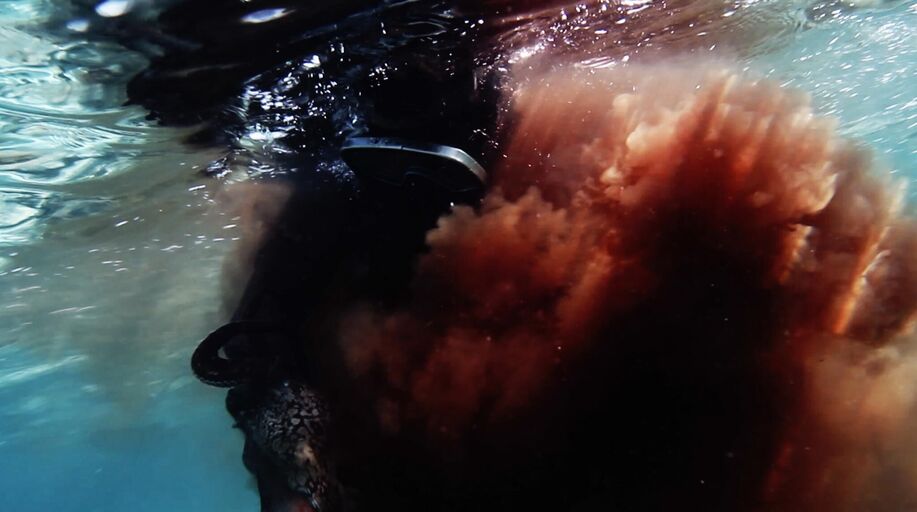 Cover image of the project Oh Brother Octopus