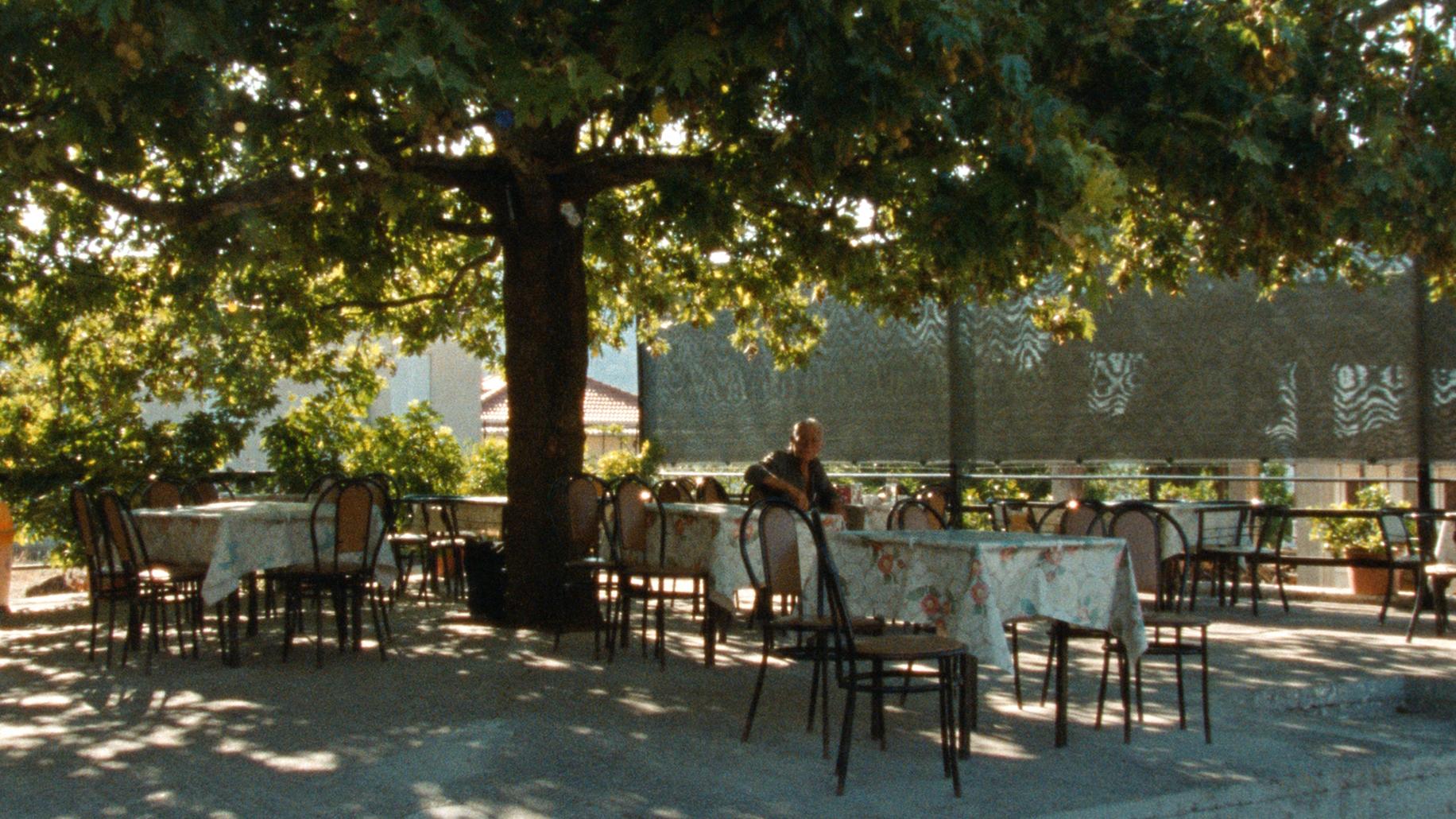 Gallery image of the project Fasolákia 