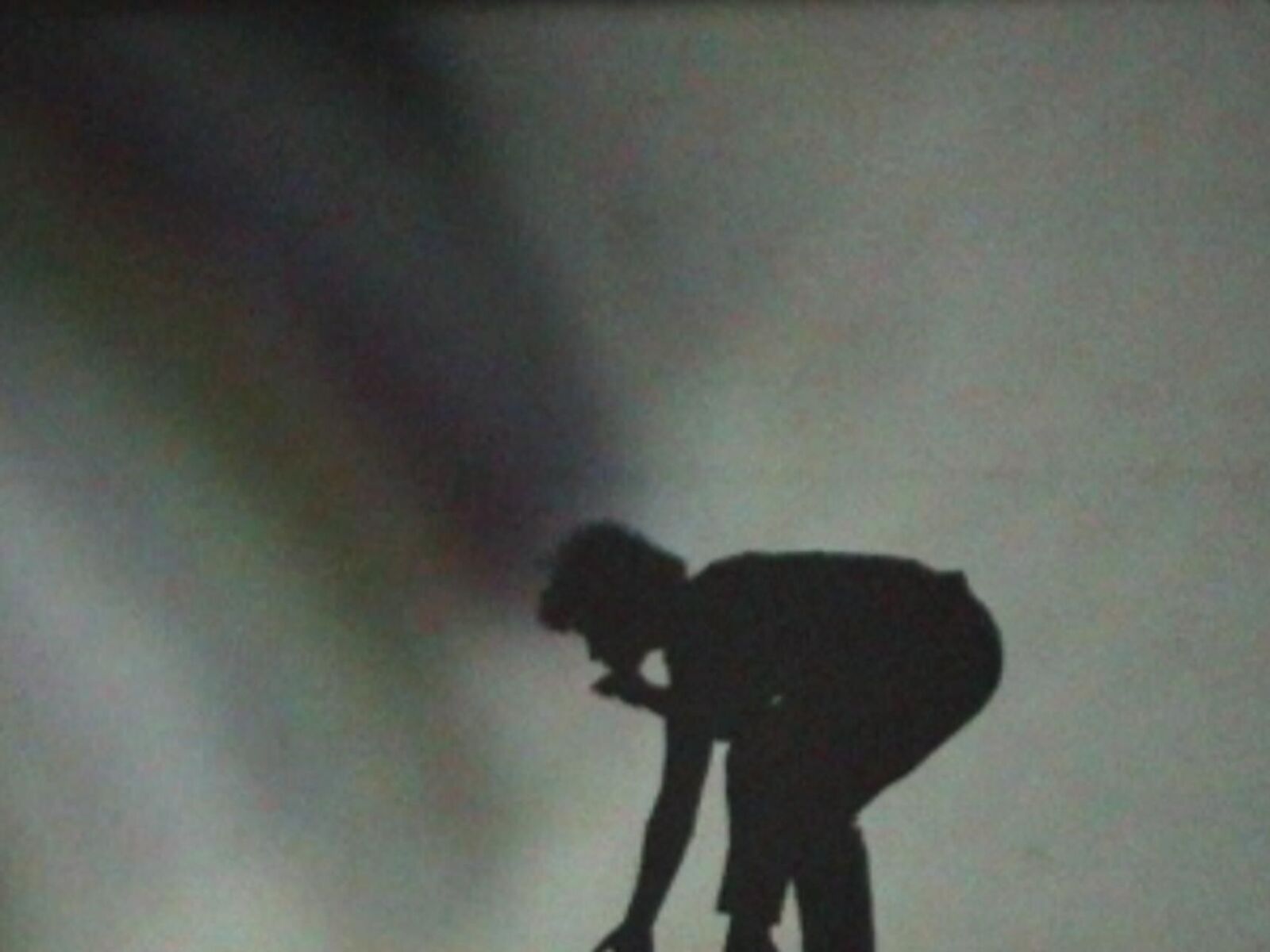 Gallery image of the project interlateo