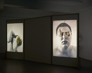 Innenleben Gallery image of the project Innenleben