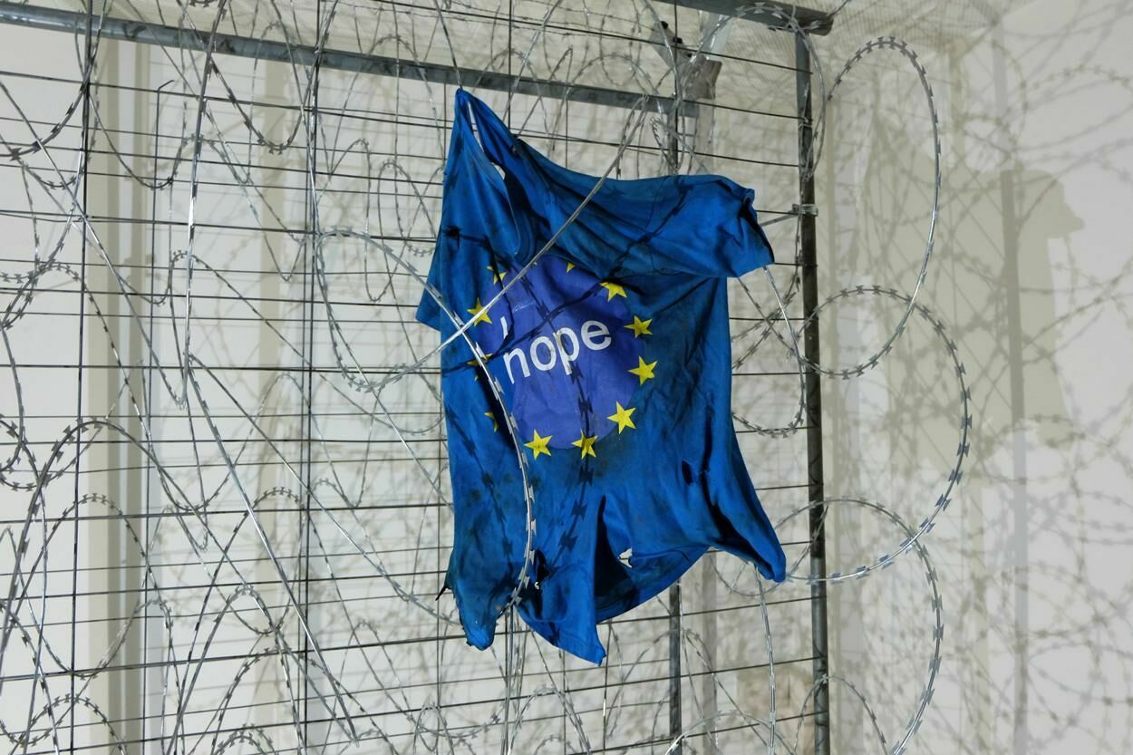 Gallery image of the project The fence