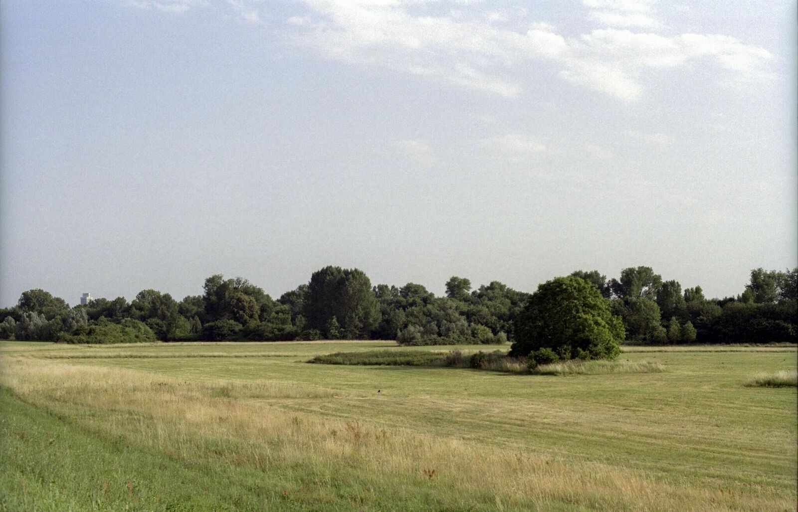 Gallery image of the project It Is the Water Flowing that Makes the Sound