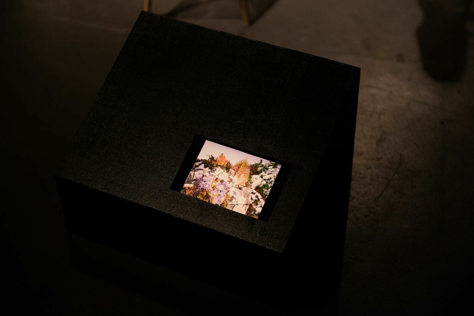 Gallery image of the project Pasajera Nocturna