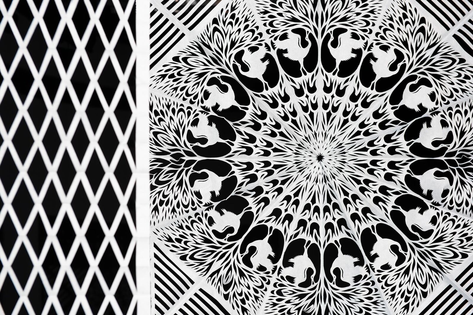 Gallery image of the project An Uncontacted Tribe