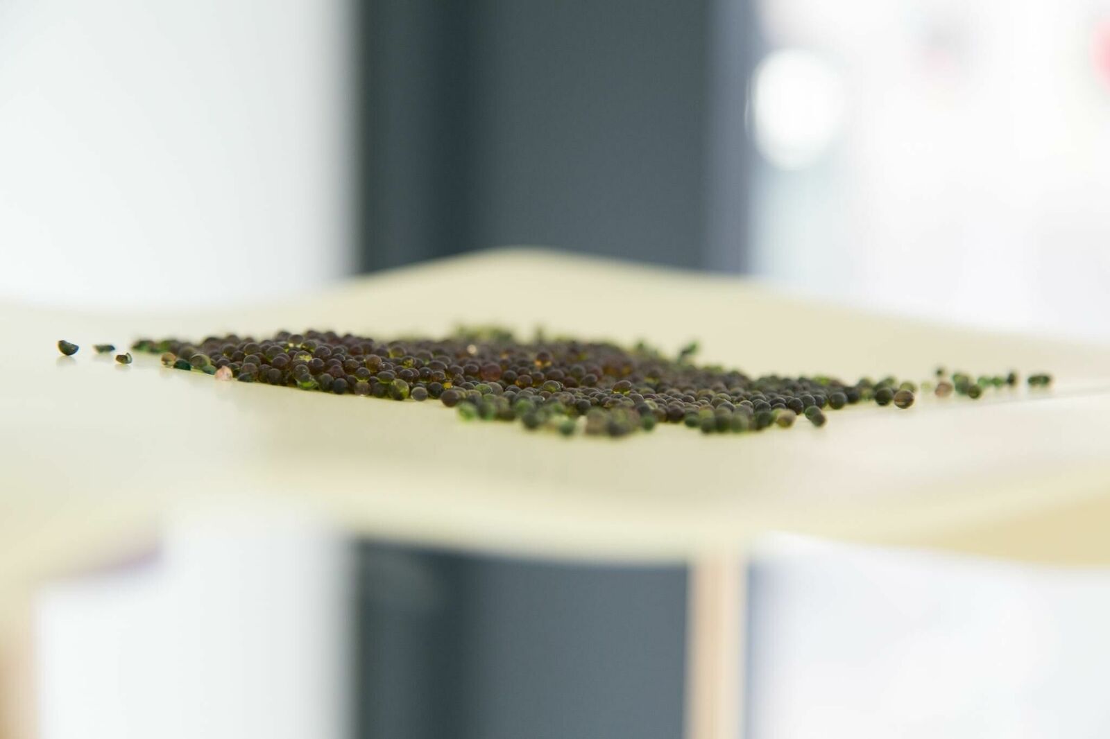 Gallery image of the project You bug me and I bug you