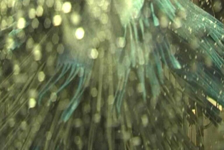 Cover image of the project Car Wash