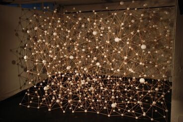 Gallery image of the project The rare circumstances of an inertia that distances what i do from what i could have done