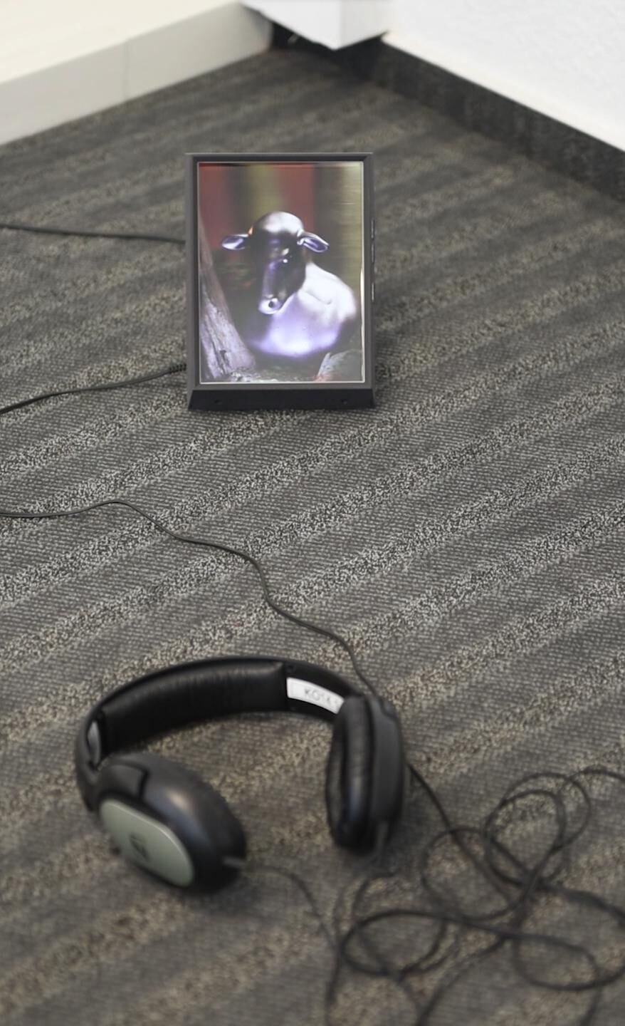 Cover image of the project every time you talk to me