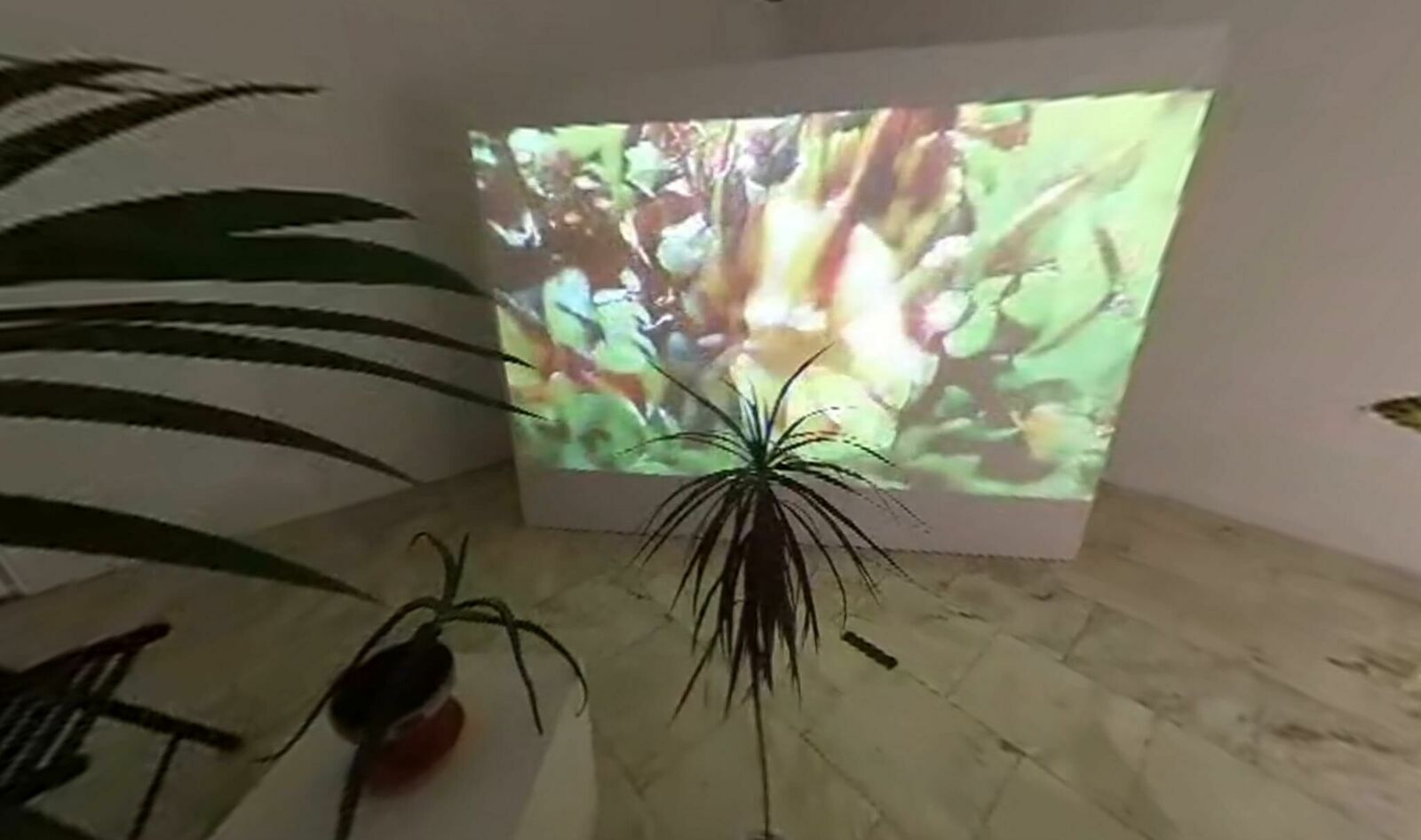 Cover image of the project Svan/Nectar