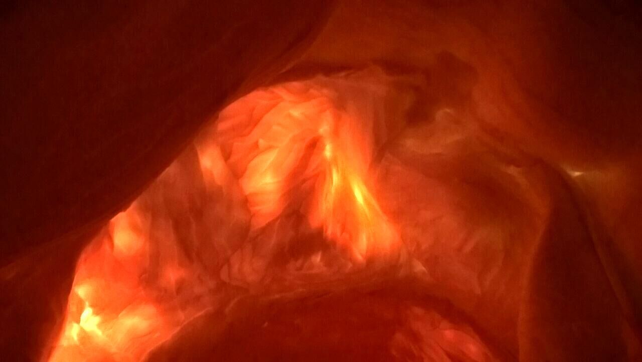 Gallery image of the project Turned into me 