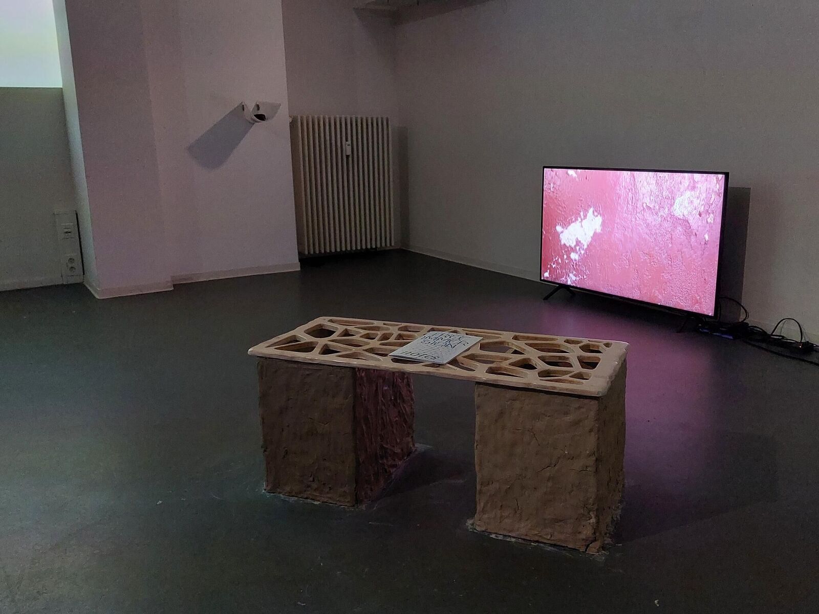 Gallery image of the project free immersion notes