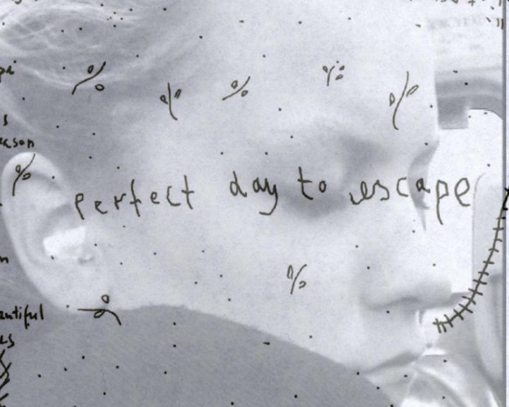 Cover image of the project Perfect Day To Escape