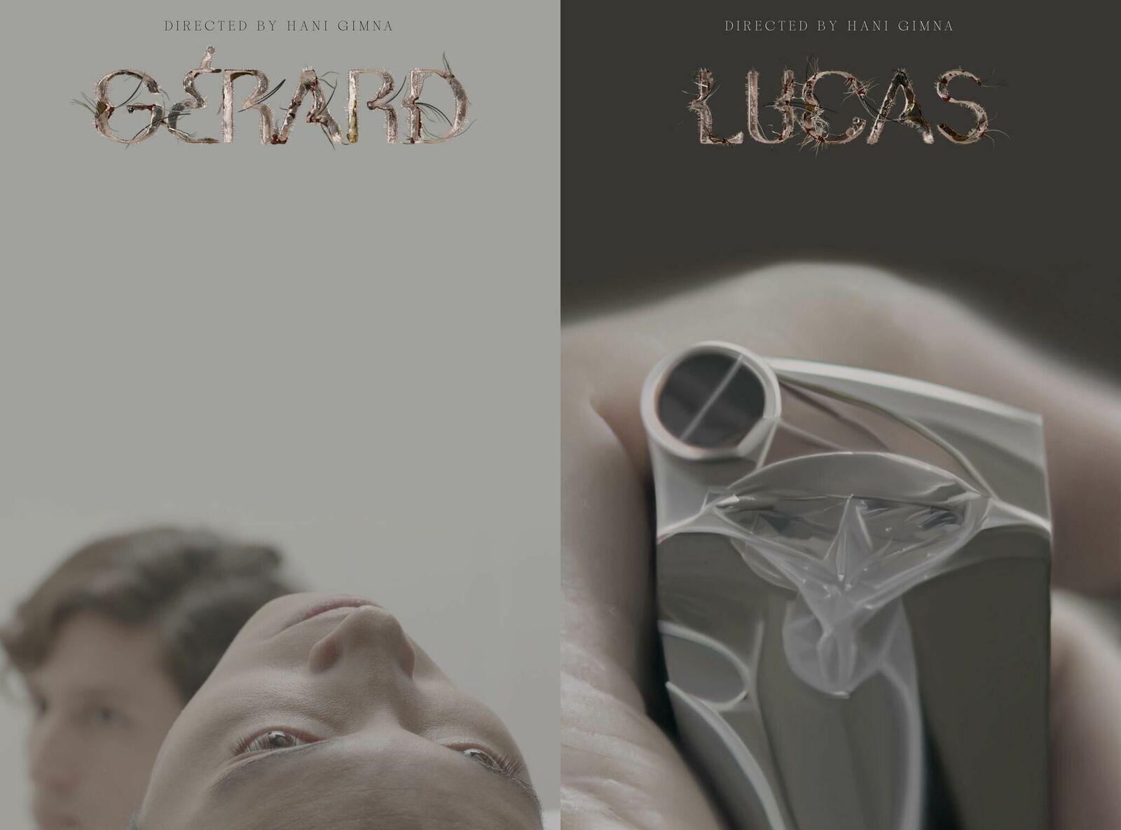 Cover image of the project Gérard Lucas