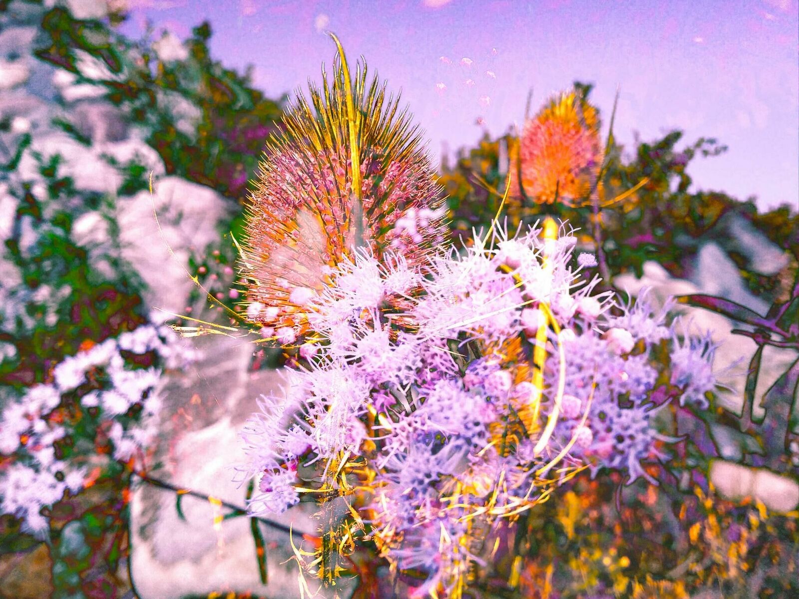 Gallery image of the project Pasajera Nocturna