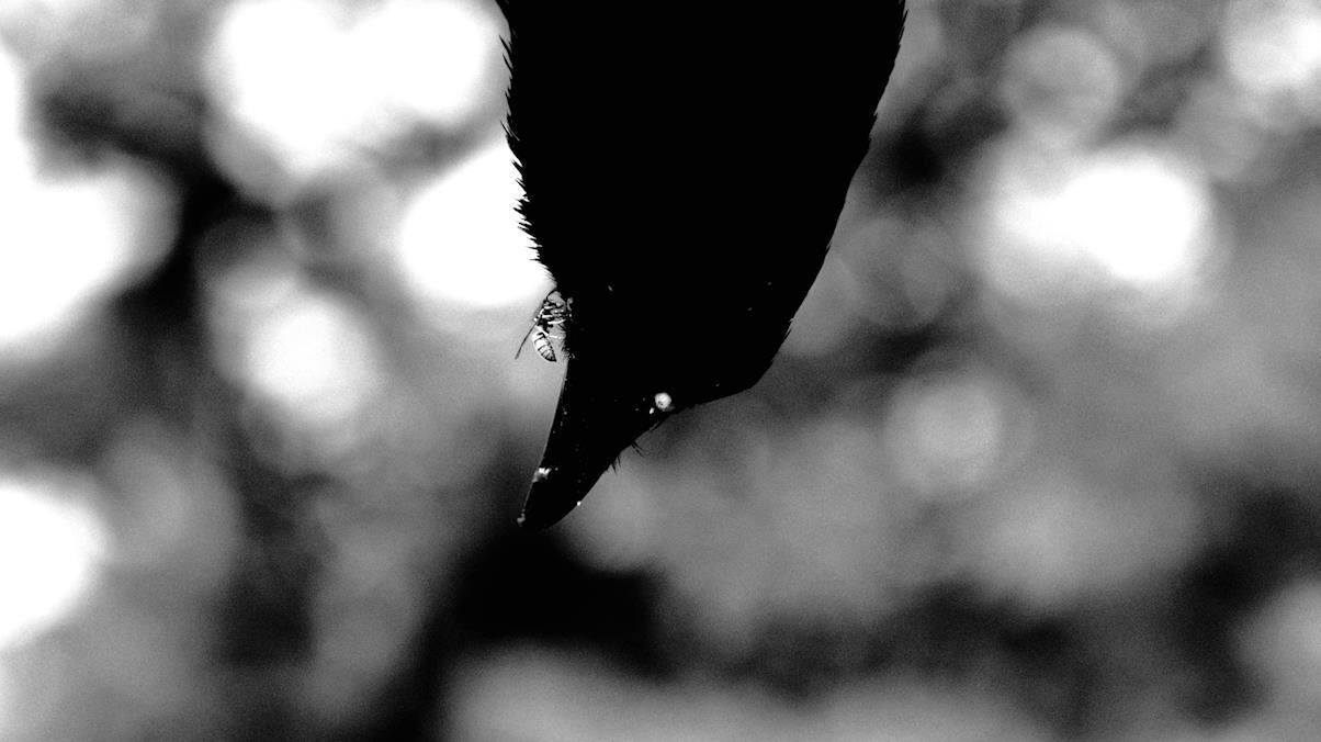 Gallery image of the project Vater