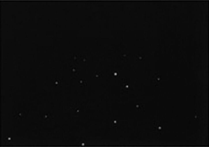 Cover image of the project Wanderland