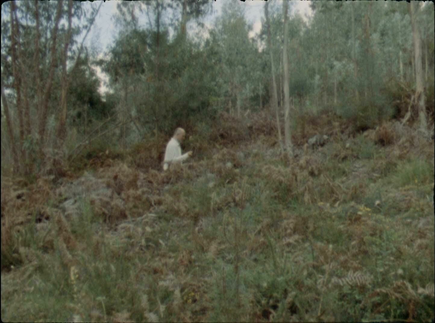 Cover image of the project Walbärte