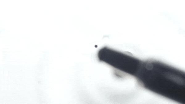 Cover image of the project Creation as experiment