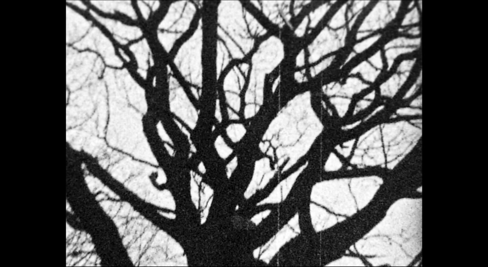 Gallery image of the project Movie Machine