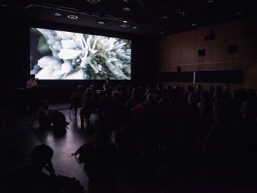 Rundgang-Eröffnung, Immersive Performance von Dora Tomic/Camilo Sandoval