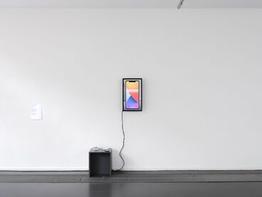 Florian Liesenfeld, home sick