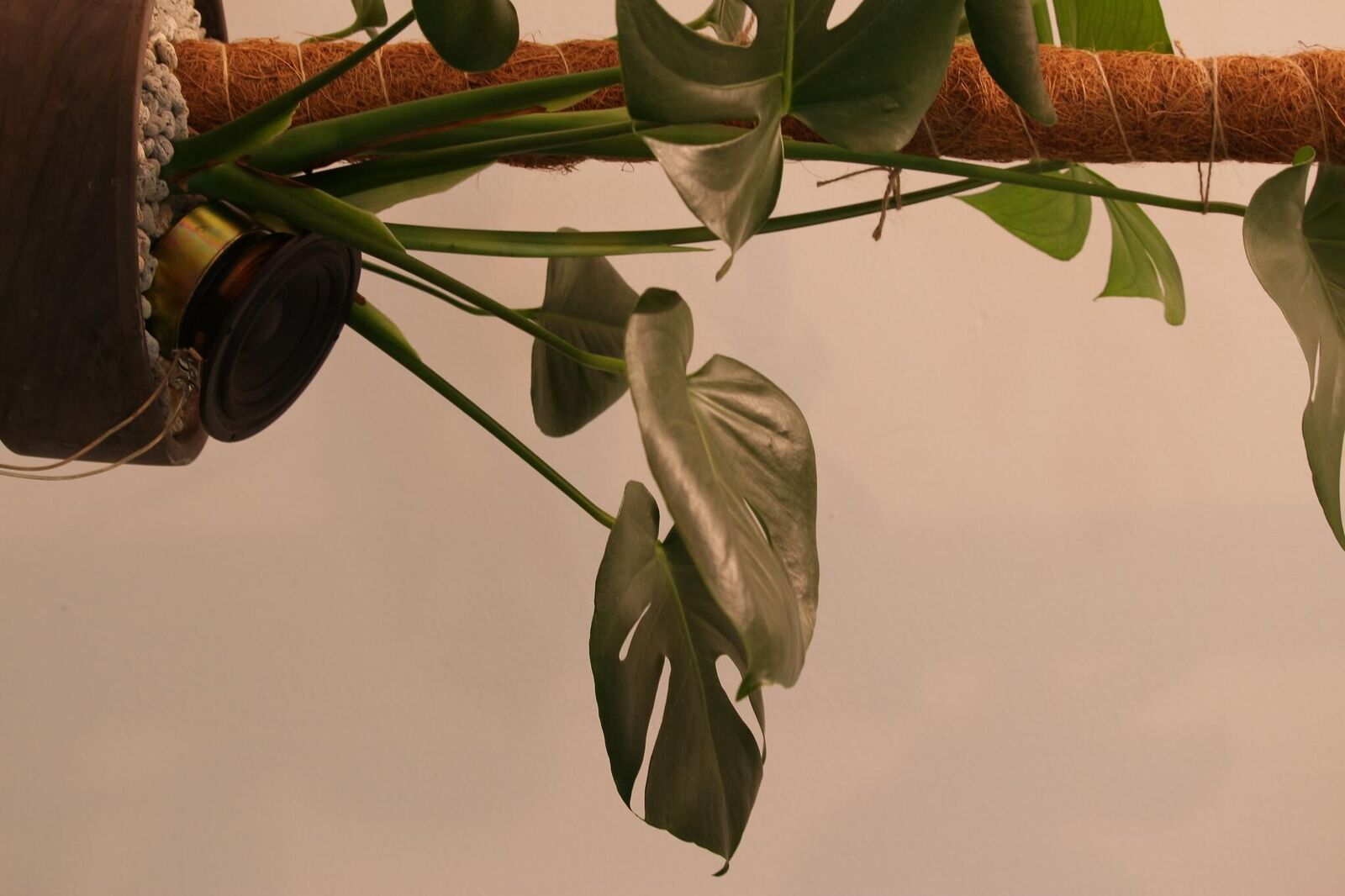 Gallery image of the project Silent Emergency Call 