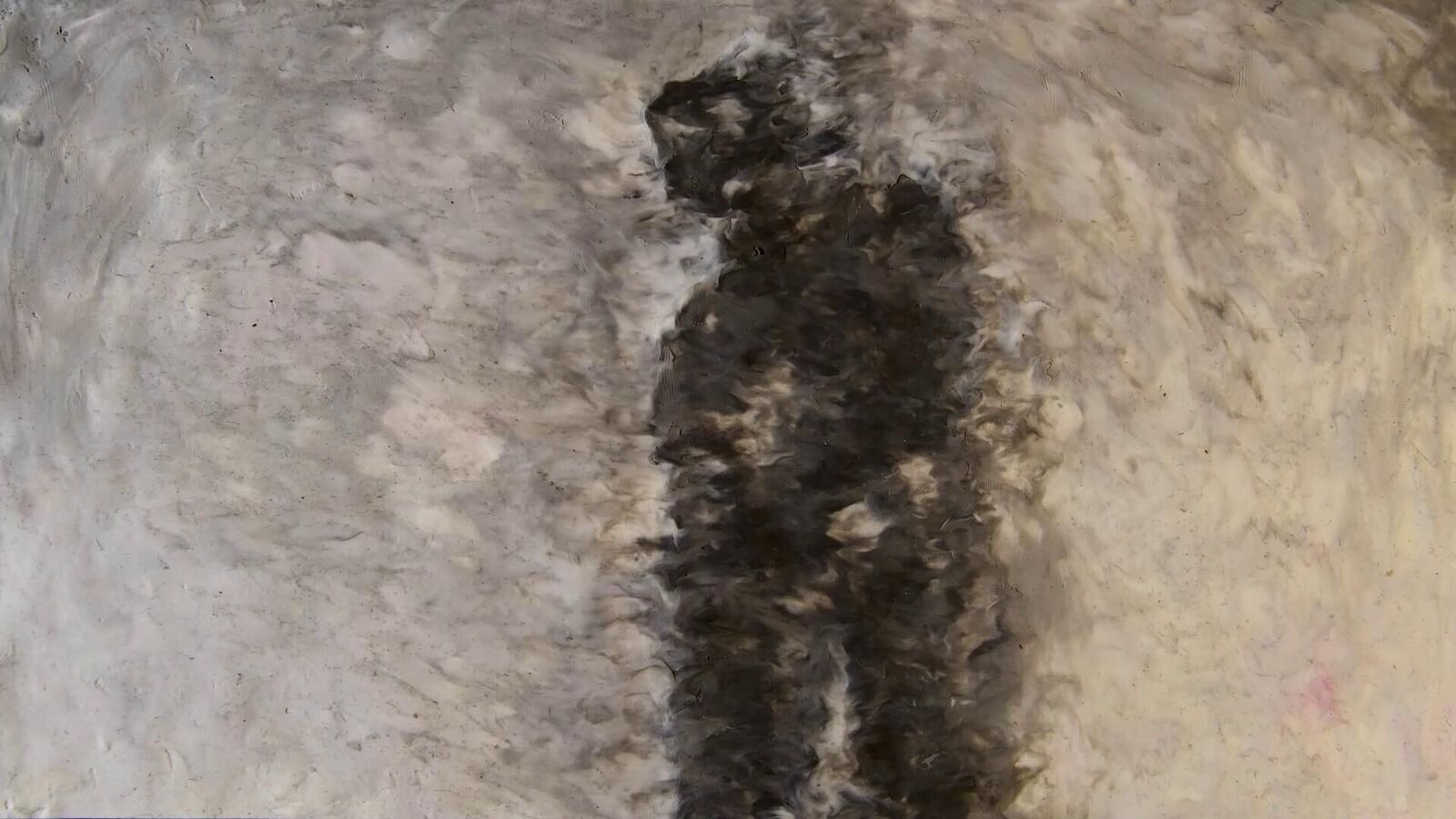 Gallery image of the project GAZE