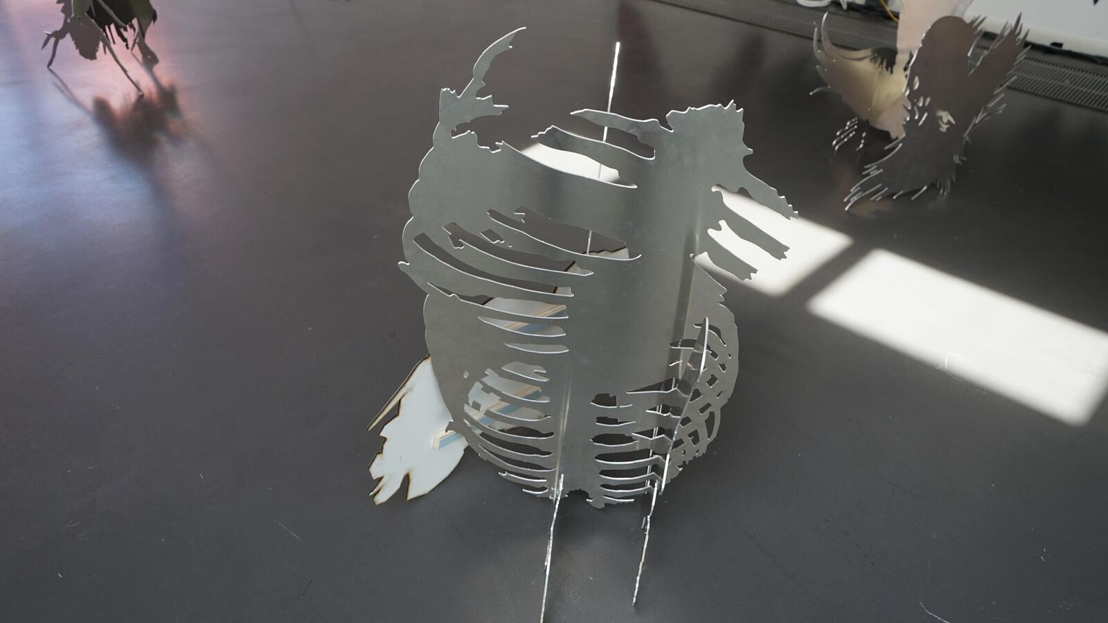 Gallery image of the project Deaths of despair