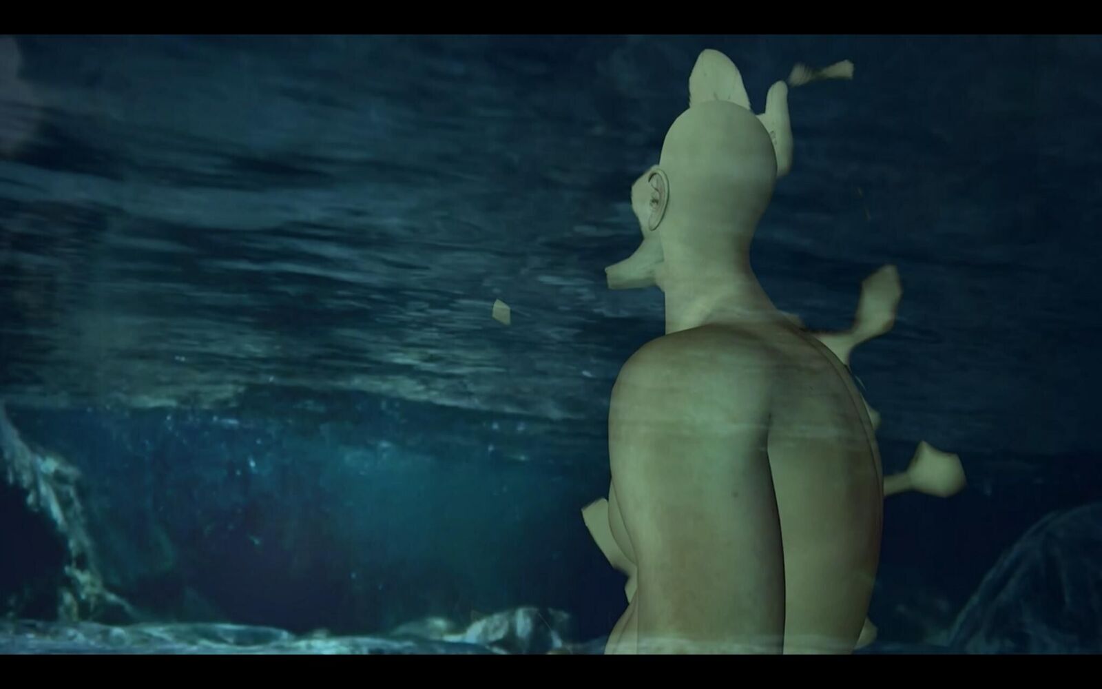 Gallery image of the project Last night I dreamt that water loved me