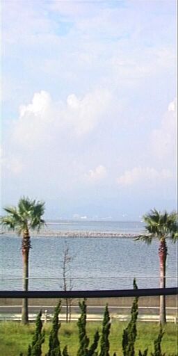 Cover image of the project Hikari 275