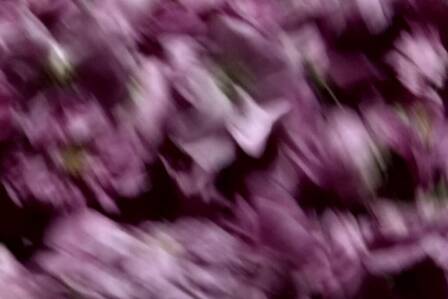 © Irene Peyvast