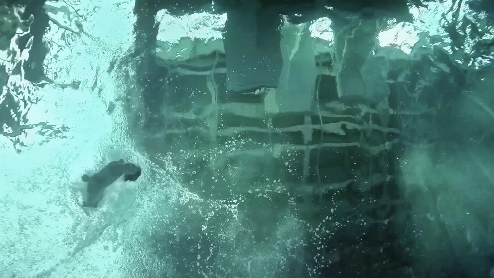 Gallery image of the project Do we really know what is behind it 