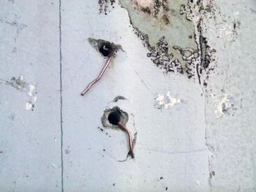 The haunted villa of Spetses Gallery image of the project The haunted villa of Spetses