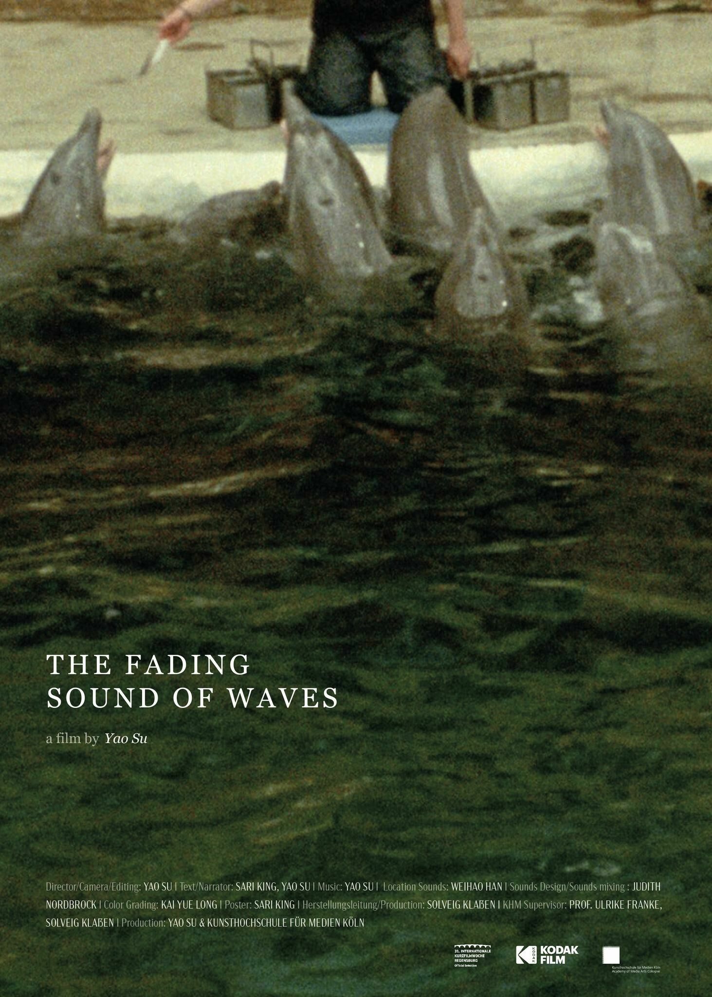Cover image of the project The Fading Sound of Waves