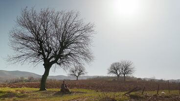 Gallery image of the project Anfal—eight lives, one genocide