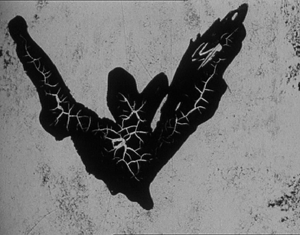 Gallery image of the project Scopitone