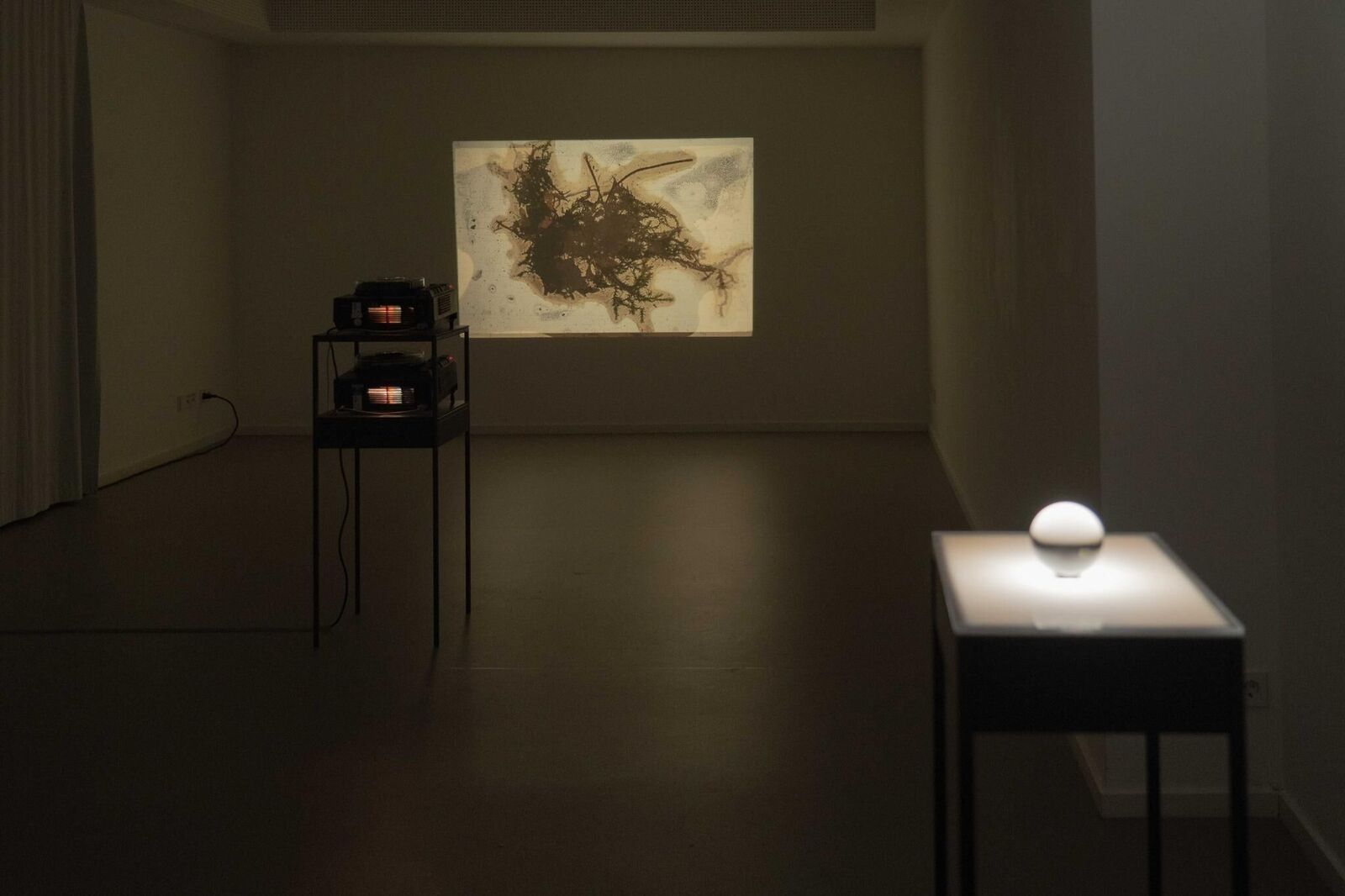 Gallery image of the project Swamp optical trance