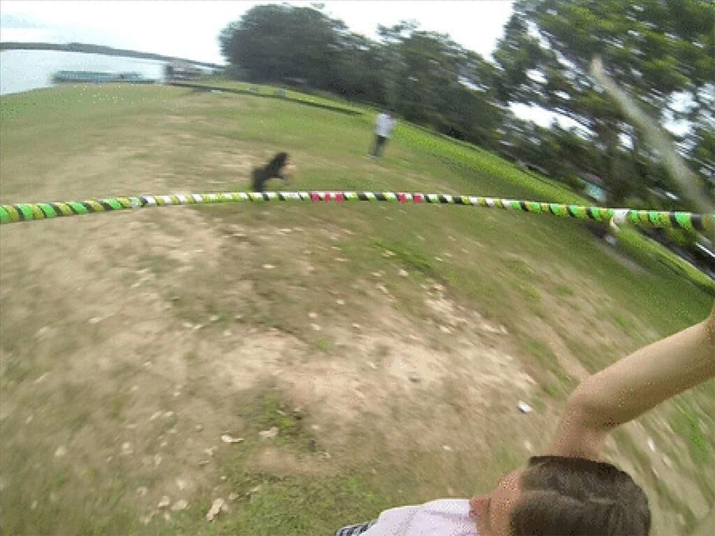 Gallery image of the project Gopro Hula