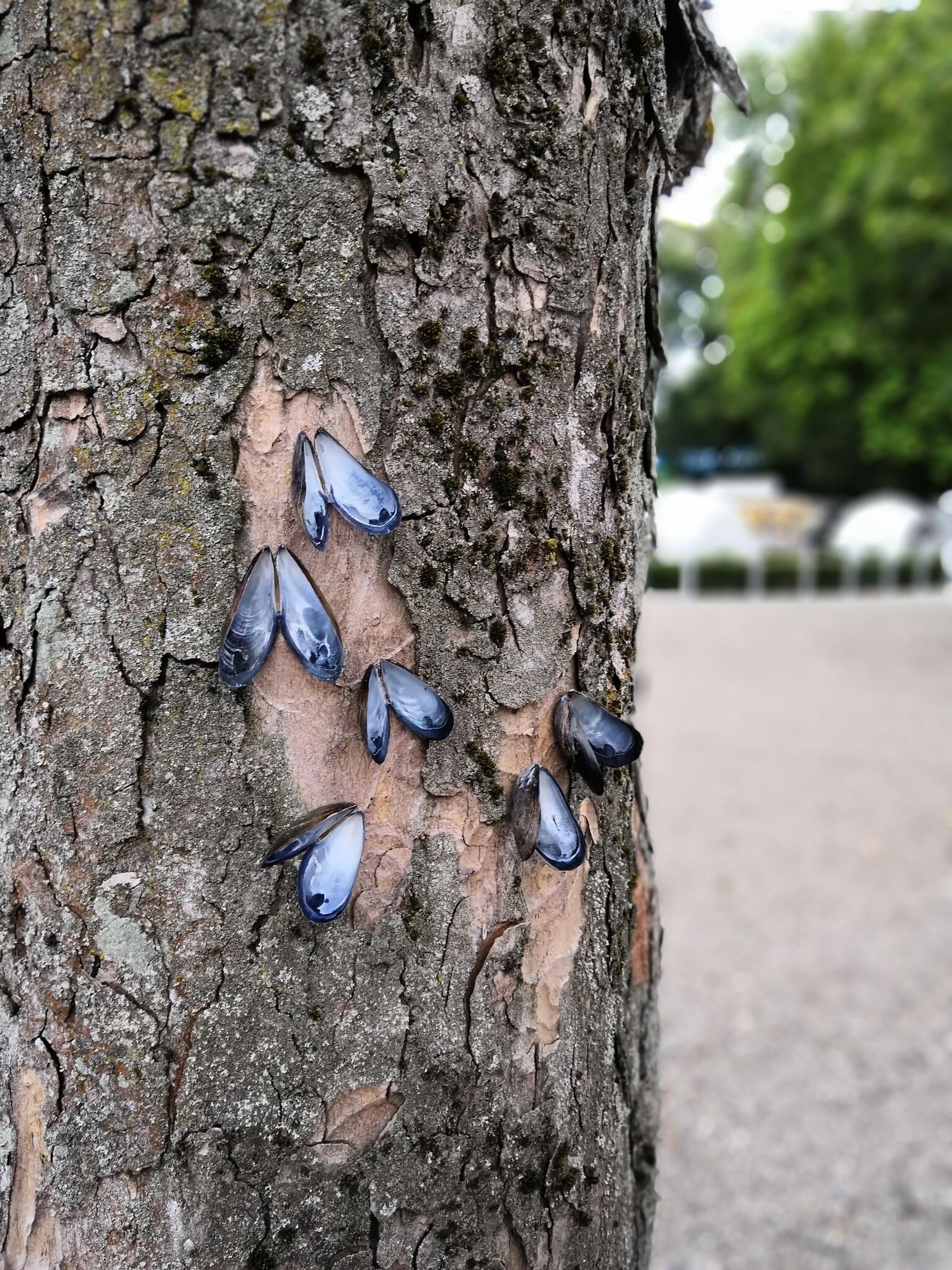 Gallery image of the project I pretend that I belong here