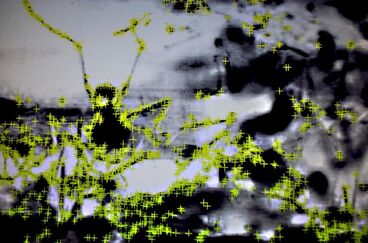0h!m1gas Cover image of the project 0h!m1gas