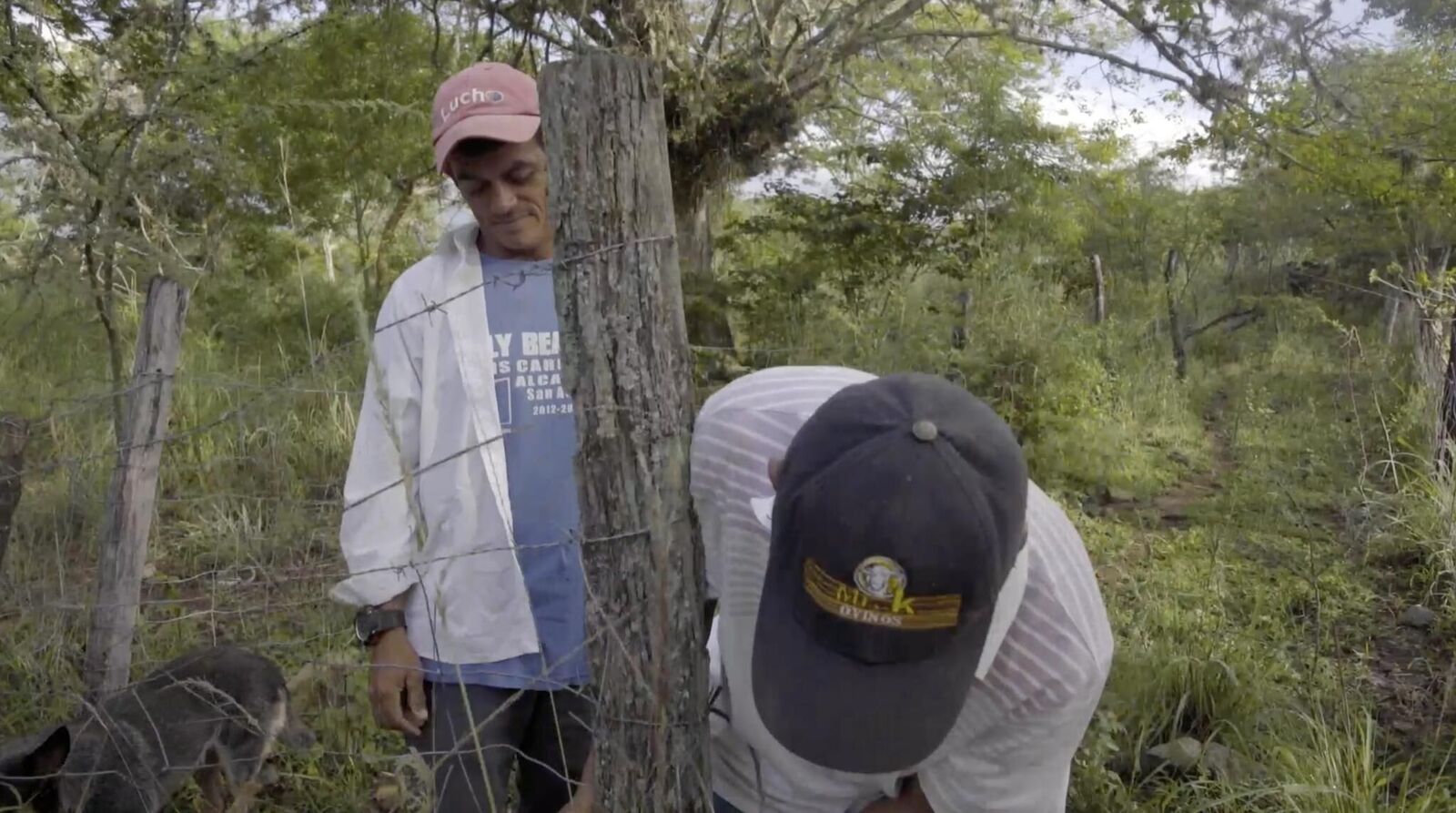 Gallery image of the project Draußen leben