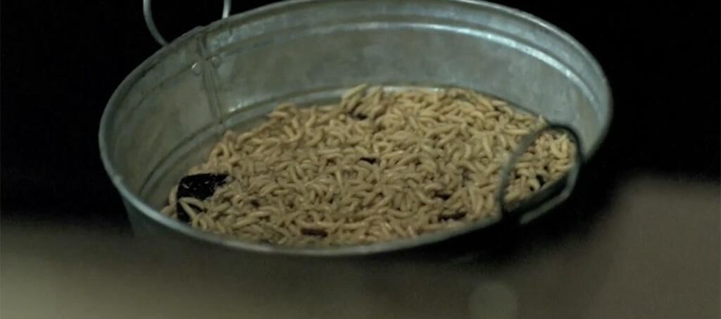 Gallery image of the project Die Kneipe