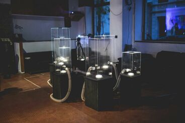 The Sublime & The Subliminal (empty molds) Gallery image of the project The Sublime & The Subliminal (empty molds)